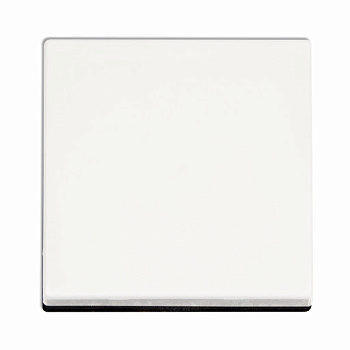 JUNG EcoProfi Белый Клавиша 1-ая EP490WW