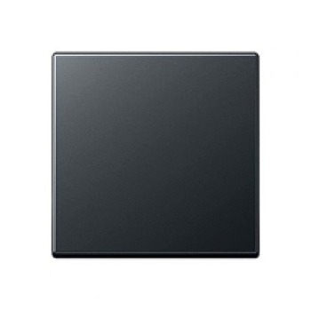 JUNG EcoProfi Антрацит Клавиша 1-ая EP490AN