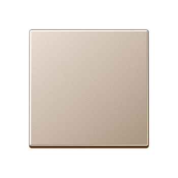 JUNG A 500 Шампань Клавиша 1-ая A590CH