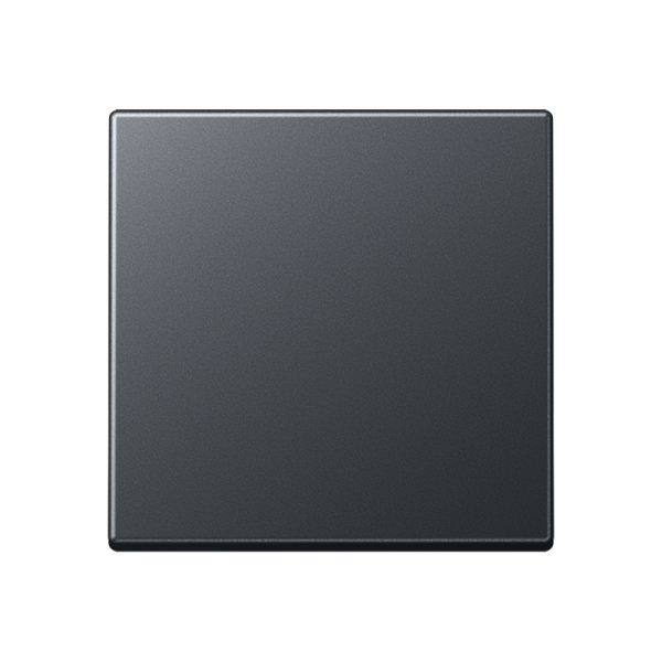 JUNG A 500 Антрацит Клавиша 1-ая A590BFANM