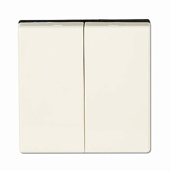 JUNG EcoProfi Слоновая кость Клавиша 2-ая EP495