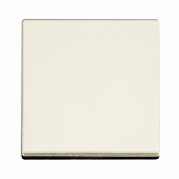 JUNG EcoProfi Слоновая кость Клавиша 1-ая EP490