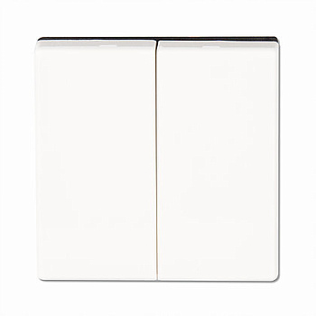 JUNG EcoProfi Белый Клавиша 2-ая EP495WW