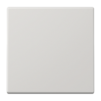 JUNG LS 990 Светло-серая Клавиша 1-ая LS990LG