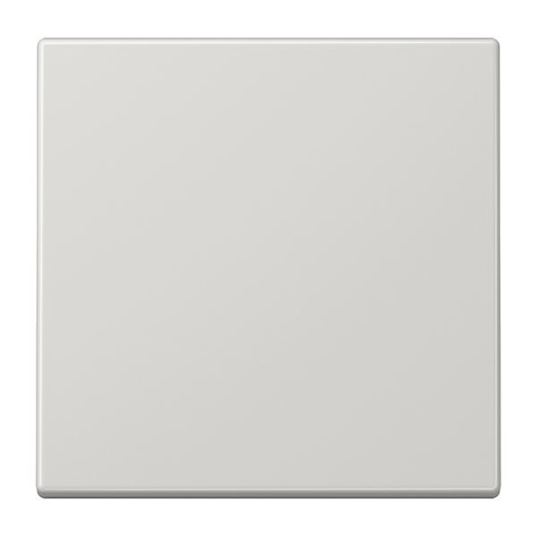 JUNG LS 990 Светло-серая Клавиша 1-ая LS990LG