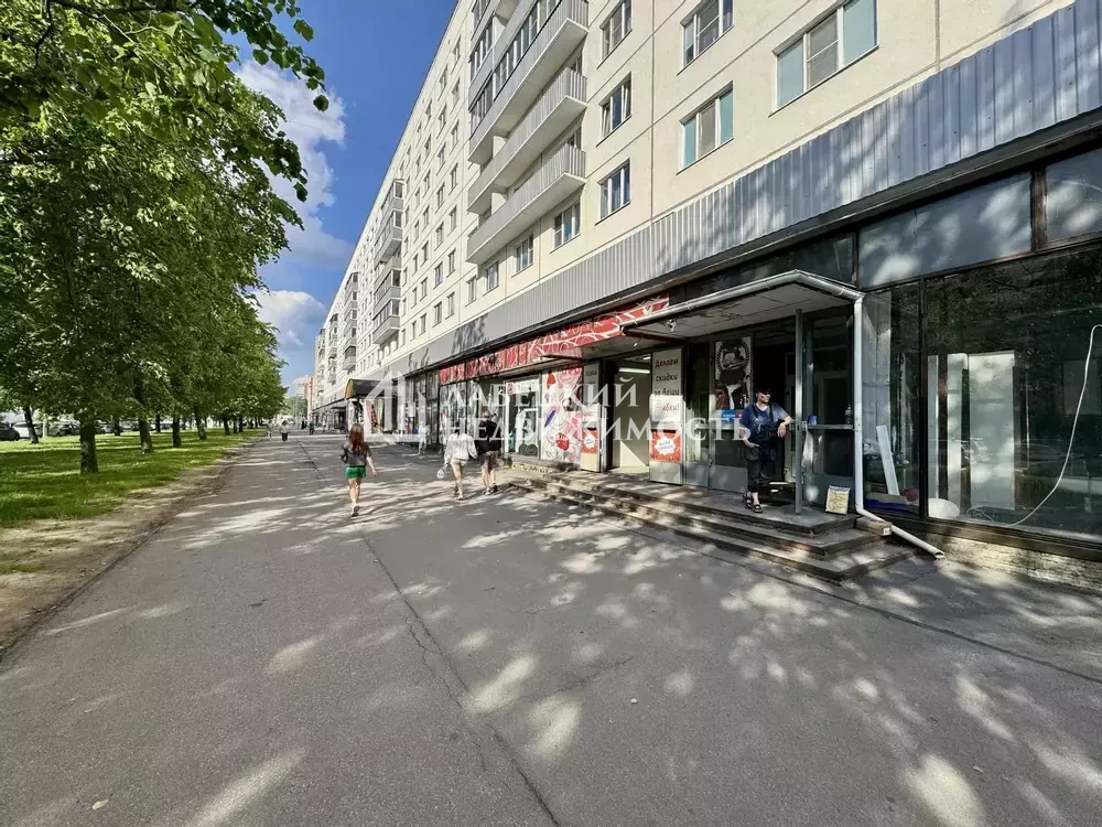 Санкт-Петербург, проспект Художников, 15к1 - фото