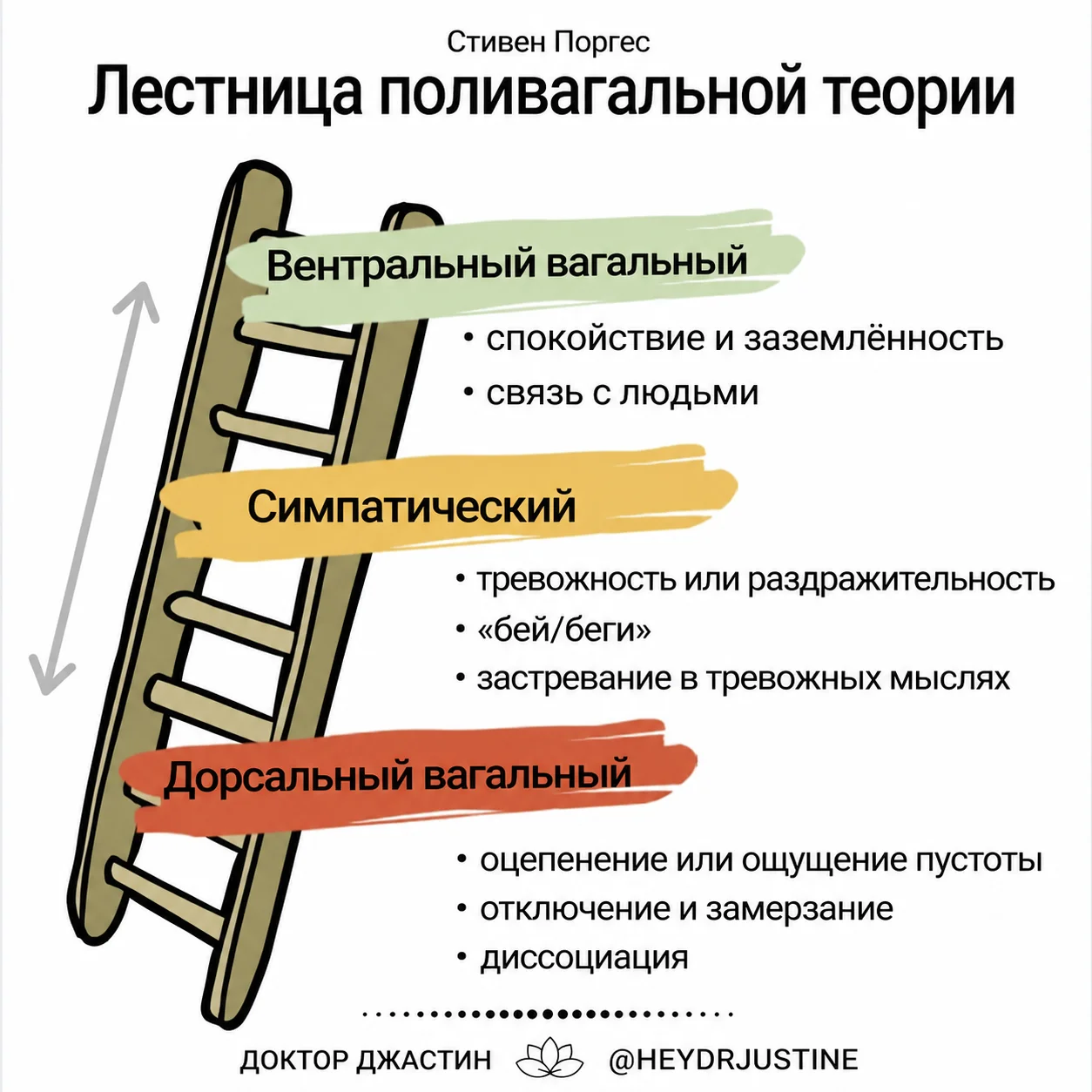 https://storage.yandexcloud.net/homiwork-pictures/pictures/4546157/307b48bc72ac435da1bef70b28d52f56/i.webp