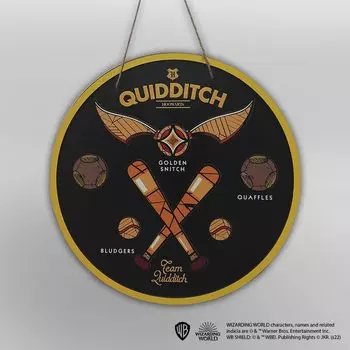 3D Постер Harry Potter: Quidditch Team