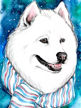 Алмазная мозаика Белый друг