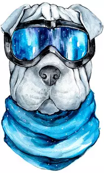 Алмазная мозаика Шарпей