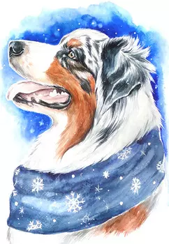 Алмазная мозаика Зимний пёс