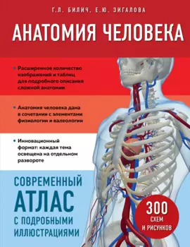 Анатомия человека: Современный атлас с подробными иллюстрациями