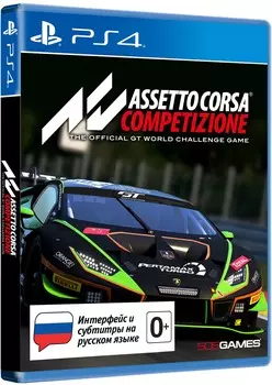 Assetto Corsa Competizione [PS4]