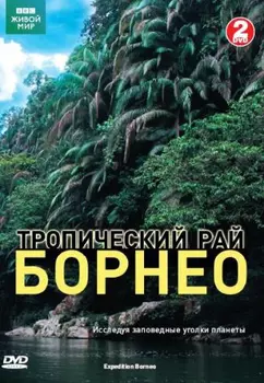 BBC: Тропический рай Борнео (2 DVD)