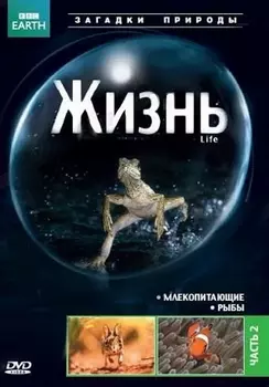 BBC: Жизнь. Часть 2