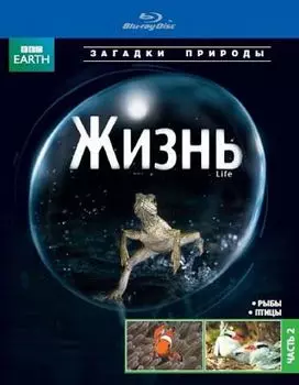 BBC: Жизнь. Часть 2 (Blu-ray)