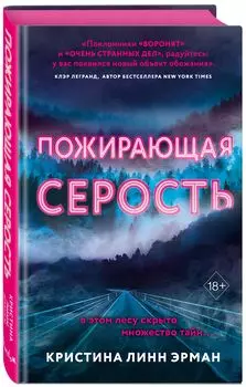Четверка Дорог.: Пожирающая Серость. Книга 1