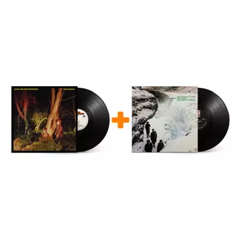 Echo the Bunnymen – Porcupine (LP) + Crocodiles (LP)