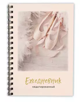 Ежедневник Пуанты