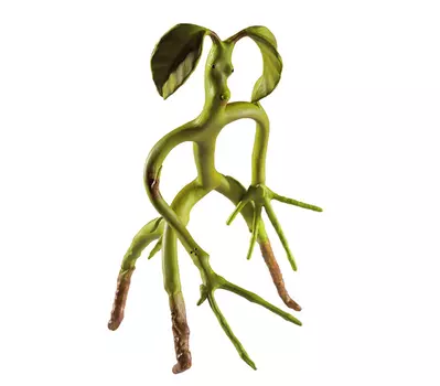 Фигурка Fantastic Beasts: Bendable Bowtruckle (18 см)