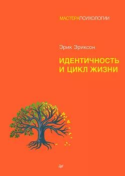 Идентичность и цикл жизни