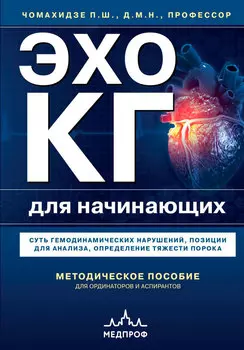 Эхокардиография для начинающих: Суть гемодинамических нарушений, позиции для анализа, определение тяжести порока