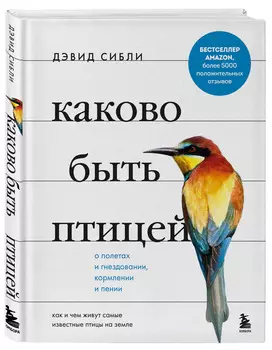 Каково быть птицей