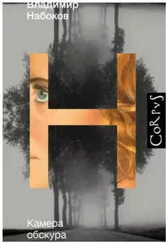 Камера обскура