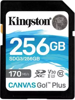 Карта памяти Kingston SDXC 256Gb (SDG3/256GB)