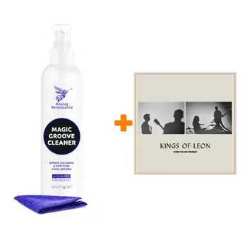 KINGS OF LEON When You See Yourself 2LP + Спрей для очистки LP с микрофиброй 250мл Набор