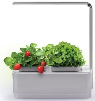 Компактный смарт-сад iGarden LED (с подсветкой)