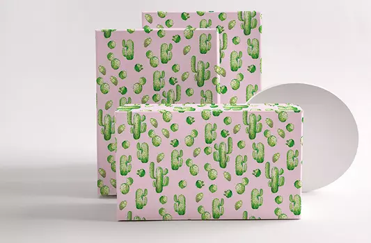 Коробка подарочная Кактус (23х16х10см)