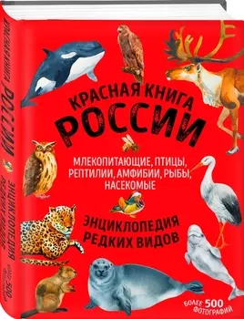 Красная книга России: все о жизни дикой природы