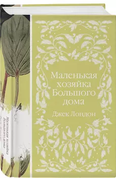 Маленькая хозяйка Большого дома