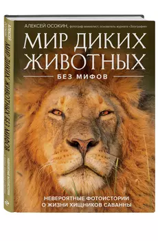 Мир диких животных без мифов: Невероятные фото-истории о жизни хищников саванны