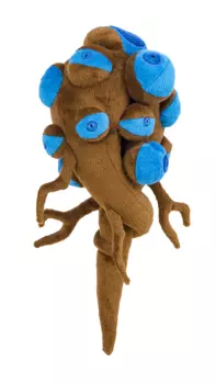 Мягкая игрушка Dota 2: Sentry Ward