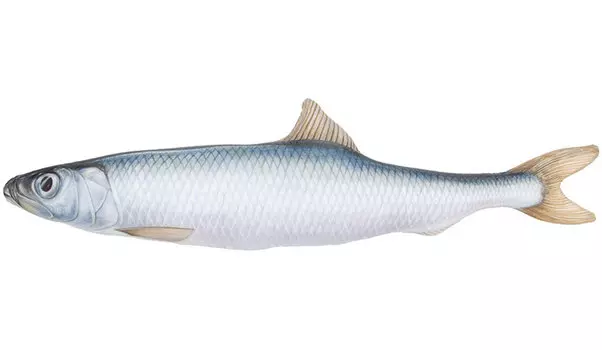 Мягкая игрушка Селёдка (47 см)