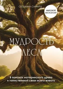 Мудрость леса: В поисках материнского древа и таинственной связи всего живого