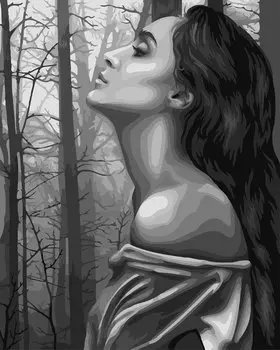 Набор для творчества Картины по номерам с красками №111: Тайна (50х40 см)