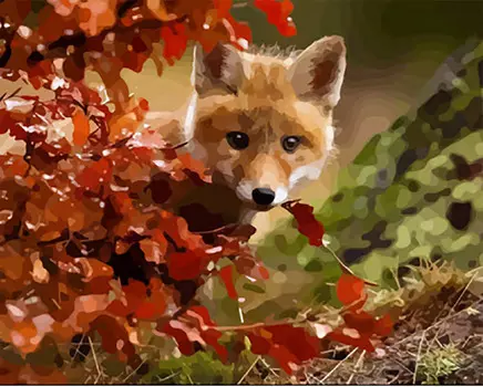 Набор для творчества Картины по номерам с красками №50: Хитрый лисёнок (40х50 см)