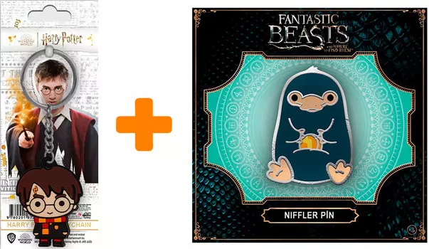 Набор Harry Potter 1 (брелок, значок)