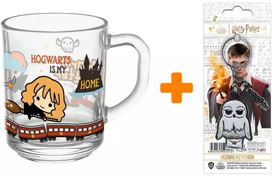 Набор Harry Potter 3 (брелок, кружка)