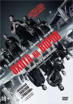 Охота на воров (DVD)