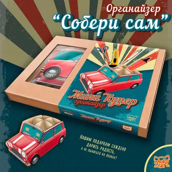 Органайзер Мини Купер