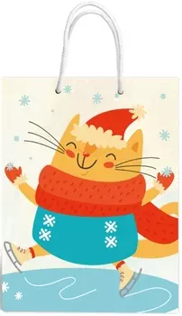 Пакет Кот-фигурист (335 x 406 x 155 мм)