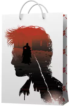 Пакет подарочный Harry Potter: Профиль (малый)