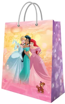 Пакет Принцессы Disney подарочный большой 4