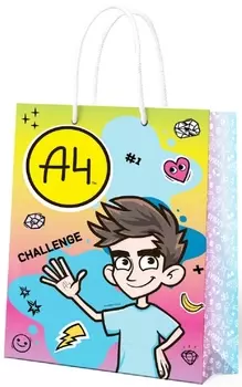 Пакет Влад А4 подарочный большой голубой с розовым (250 x 350 x 100 мм)