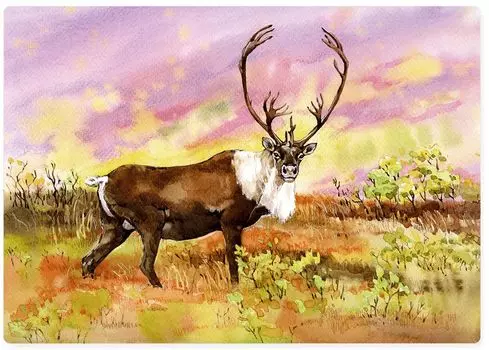 Пазл Wooden Puzzles: Дикий северный олень