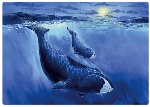 Пазл Wooden Puzzles: Гренландский кит